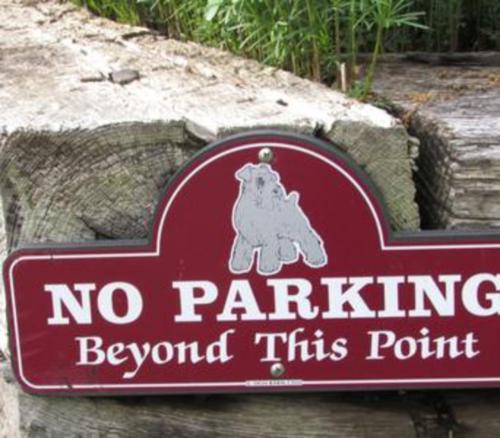 No Parking Sign
