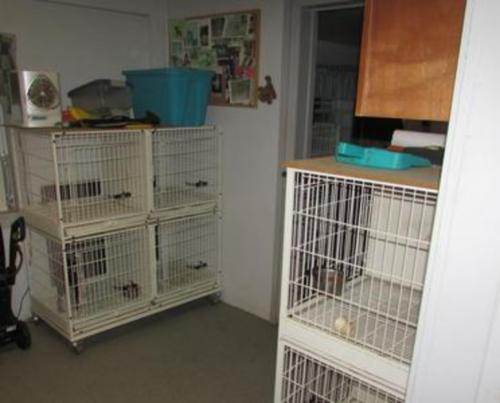 Kennels
