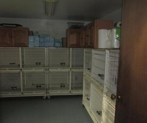 Kennels