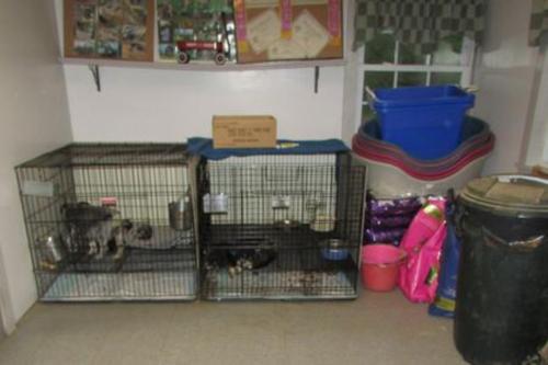 Kennels