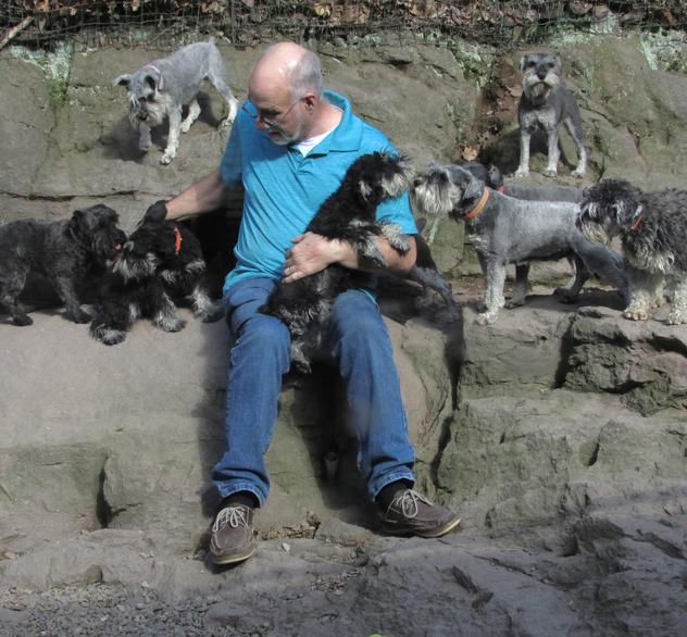 Man petting dogs